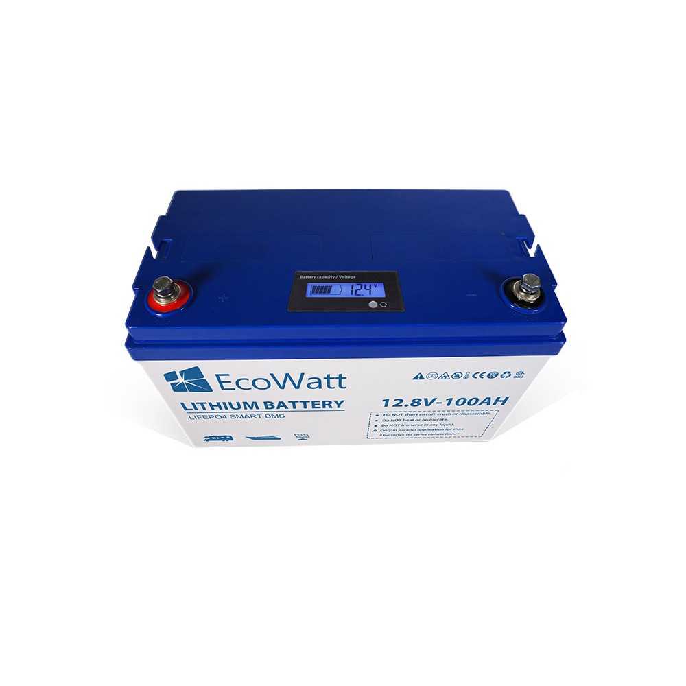Ecowatt 12.8V 100Ah LiFePO4 Battery with integrated BMS Smart