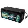 TopSolar LiFePO4 25.6V 100Ah Batteria al Litio BMS Smart integrato