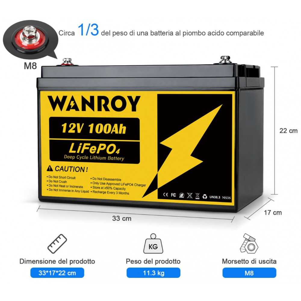 WANROY 12V 100Ah LiFePO4 Battery With 100A BMS 12.8V 1280Wh