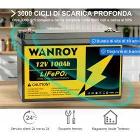 LiFePO4 100A 24V Batteria per Fotovoltaico 2.5 kWh -  -  Vivere senza bolletta