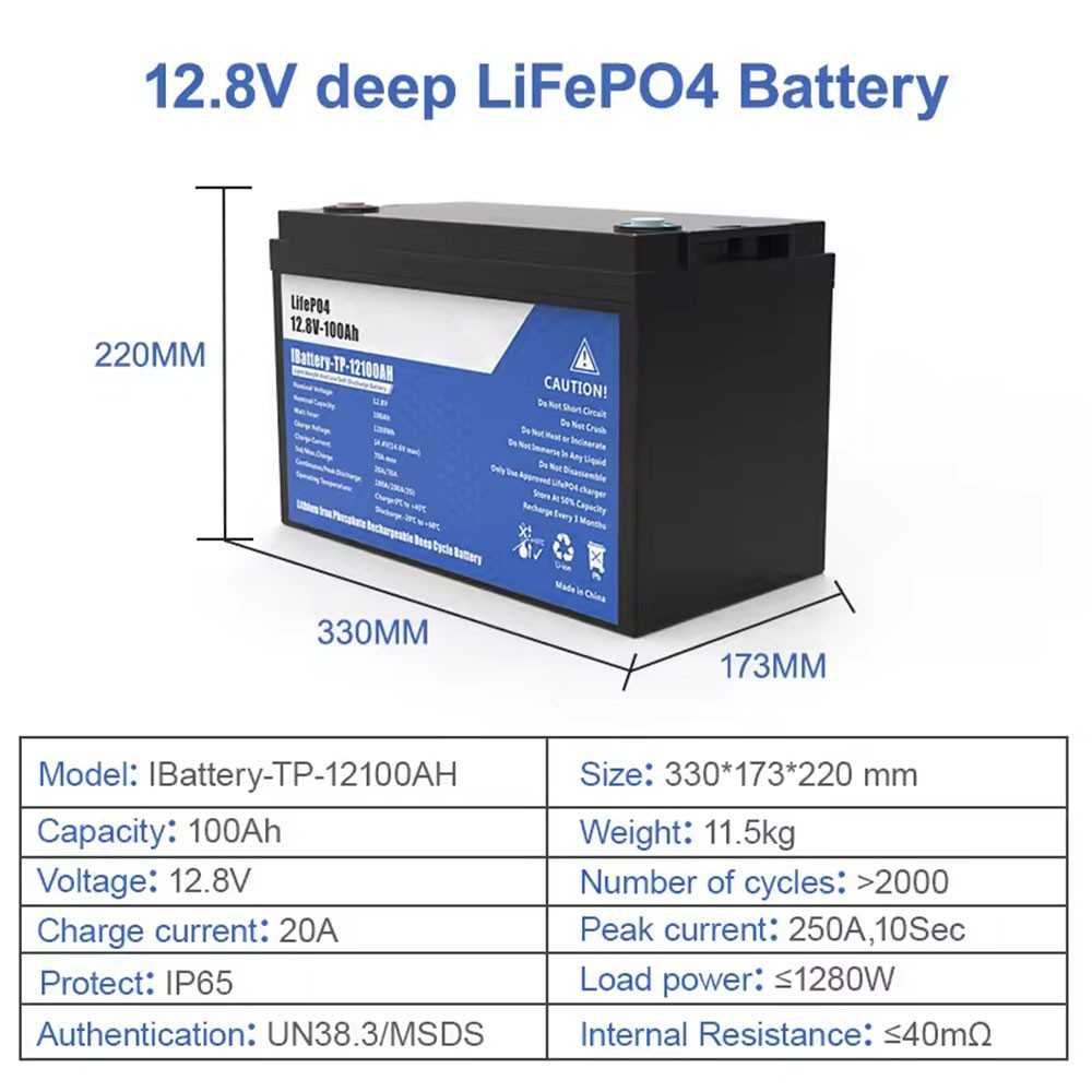 Batteria LiFePO4 12V 100Ah con 100A BMS 12,8V 1280Wh