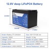 Batteria LiFePO4 12V 100Ah con 100A BMS 12,8V 1280Wh