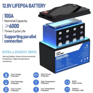 12V 100Ah LiFePO4 Battery With 100A BMS 12.8V 1280Wh
