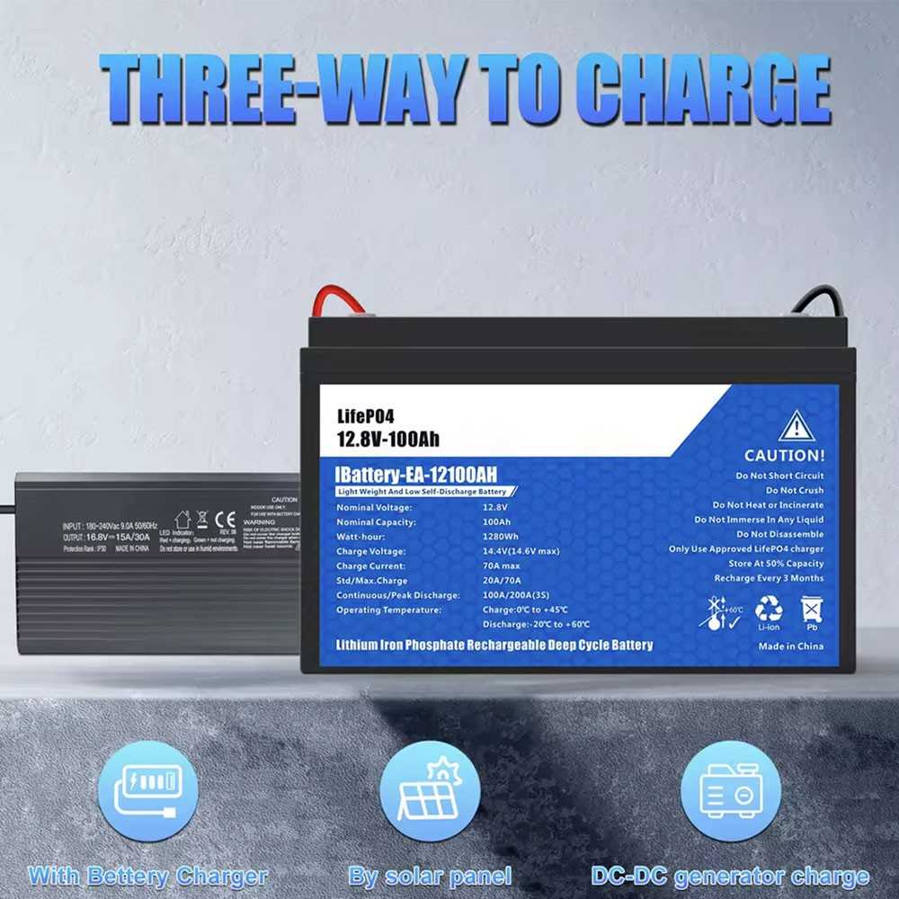 Batteria LiFePO4 12V 100Ah con 100A BMS 12,8V 1280Wh