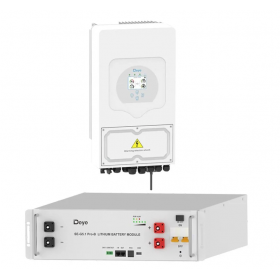 DEYE Sistema di accumulo 5.12kWh inverter 6kW SG03LP1 + 1 SE-G5.1 Pro-B