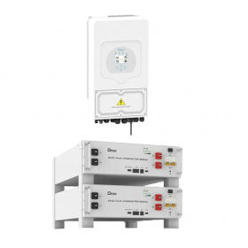 DEYE Sistema di accumulo 10.24kWh inverter 6kW SG03LP1 + 2 SE-G5.1 Pro-B