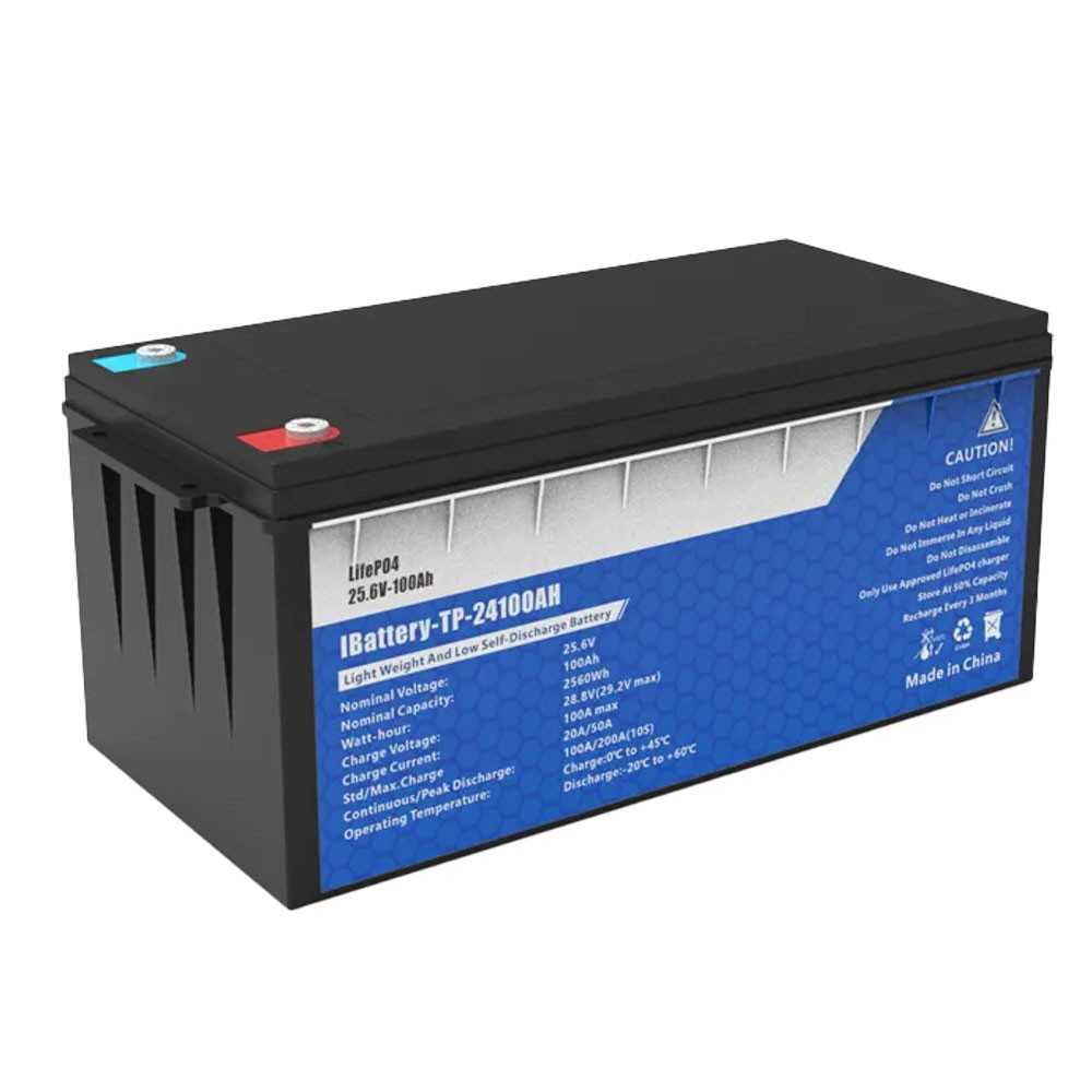 Batteria LiFePO4 24V 100Ah con 100A BMS 25.6V 2560Wh