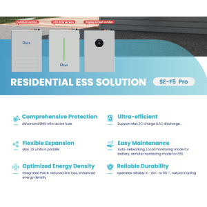 Deye SE-F5-PRO C Version Battery LifePO4 51,2V OffGrid LV