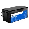 Batteria LiFePO4 12V 300Ah con 120A BMS 12.8V 3840Wh