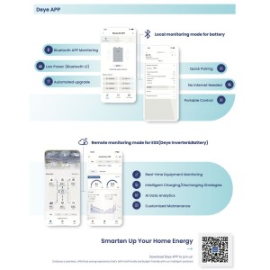 DEYE Storage system 30.72kWh Inverter 6kW SG05LP1 + 6 SE-F5-PRO-C